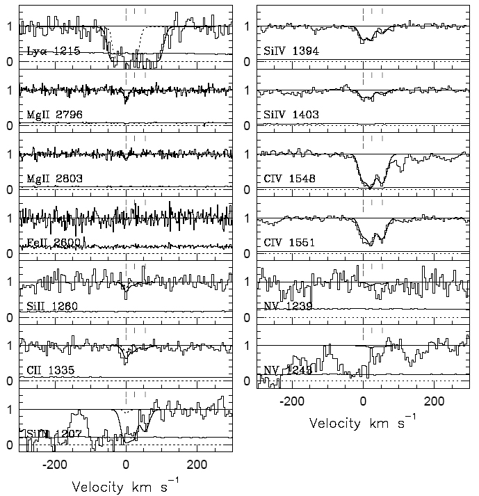 Quasar absorption line spectra